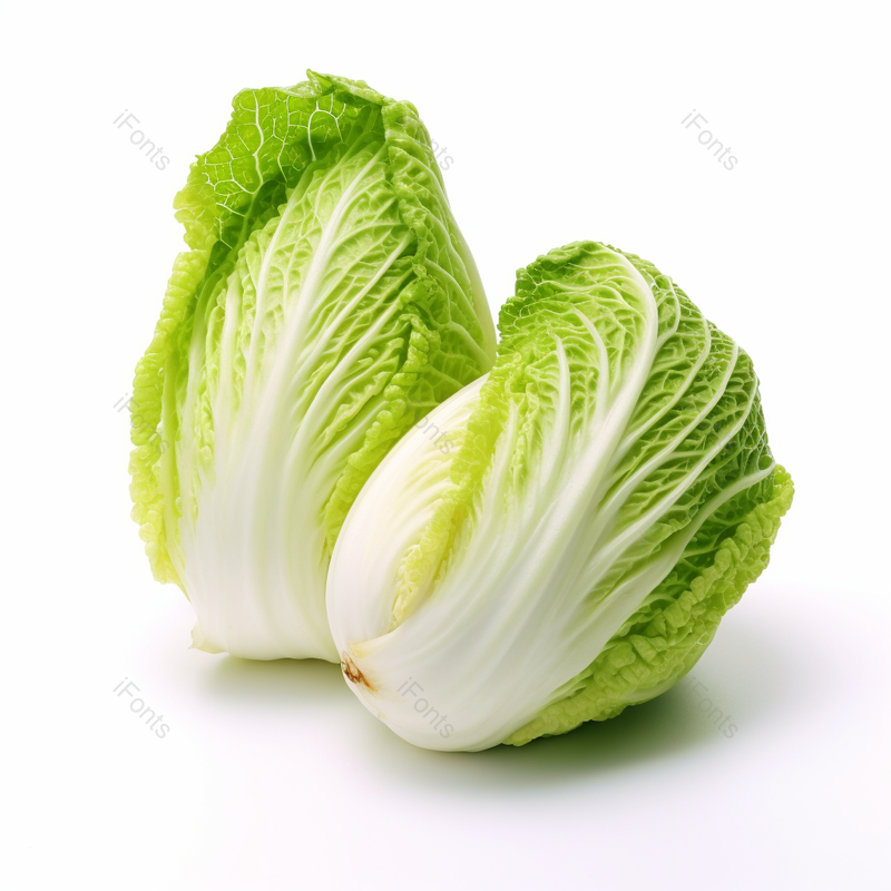 两颗新鲜的小白菜特写摄影图,高清,摄影图,摄影图片,图片大全,摄影图免费下载